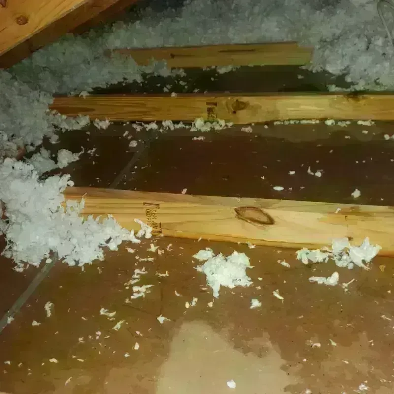 Attic Water Damage in Hill Country Village, TX